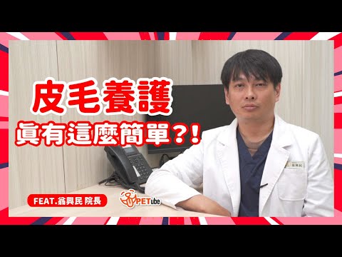 皮毛養護真有這麼簡單？！ feat. 翁興民院長【哈寵小學堂】｜#哈寵PETube 第284集