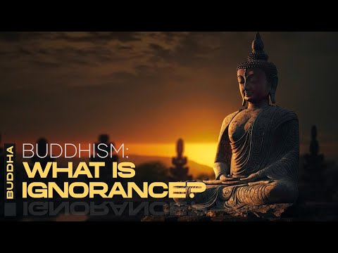 What is Ignorance? The Buddha's Teachings on Wisdom and Ending Suffering