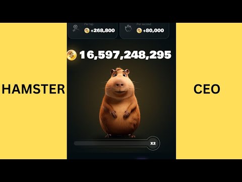 HamsterChain CEO -7 minutes tapping