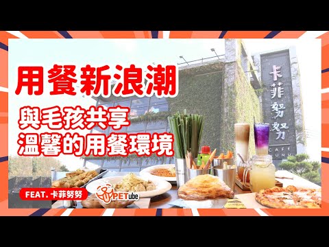 室內外超舒適大空間，竹東寵物友善的景觀餐廳 Feat 卡菲努努【編走編看】｜#哈寵PETube 第272集