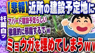 【ｷﾓ面白い2chスレ】【悲報】ワイ、近所の建設予定の土地にミョウガを埋めてしまうｗｗｗｗ【ゆっくり解説】