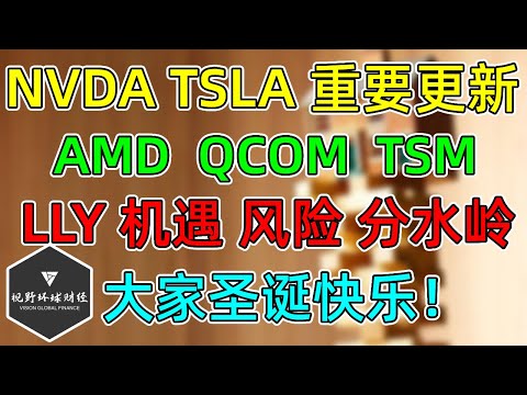 美股 NVDA、TSLA重要更新！AMD、QCOM、TSM跟踪！LLY机遇、风险分水岭！圣诞快乐！