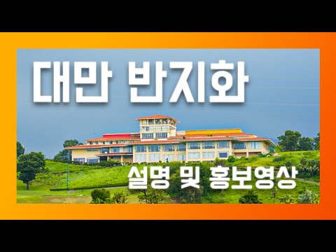 대만 반지화 설명 및 홍보영상