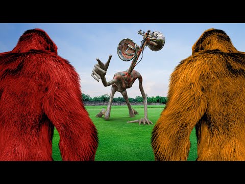 The Battle: KING KONG VS SIREN HEAD | New Hollywood Movie | Jurassic World Dinosaur Fan Movie