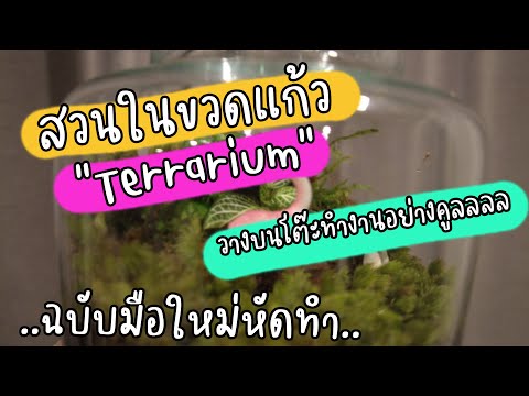 จัดสวนในขวดแก้วฉบับมือใหม่!! Terrarium ยกสวนมาไว้ในขวด