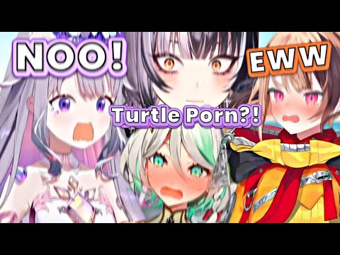 Biboo accidentally shared a turtle video with them, but... [Hololive EN]