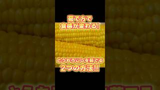 【とうもろこしを茹でる2つの方法】茹で方を変えると食感が変わる！素材を活かす茹で方2選【基本の和食】
