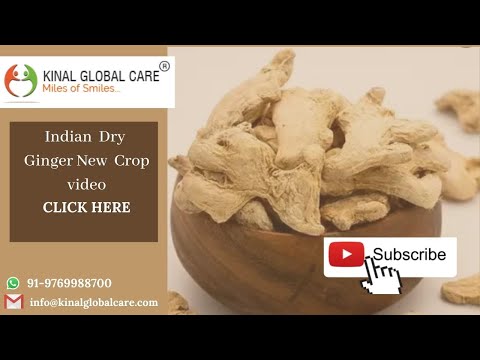 Indian Dry Ginger New Crop