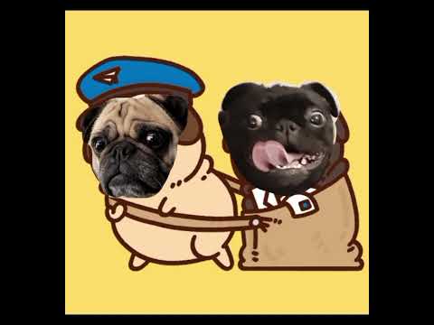 hilarious animation of a pug life, 2 naughty pugs chase a job down, very cute