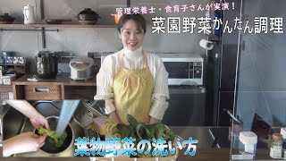 【ご挨拶と、葉物野菜の洗い方】菜園野菜かんたん調理　食育子さん・管理栄養士が実演するクッキング　2021年1月　ハタムスビ野菜作り