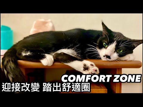 COMFORT ZONE  你害怕改變嗎？