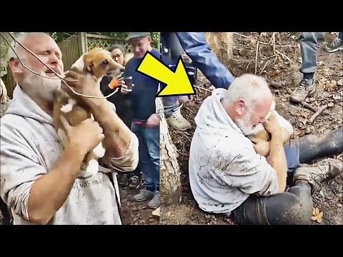 Grieving owner cries after discovering his dog stuck in hole for 50 hours