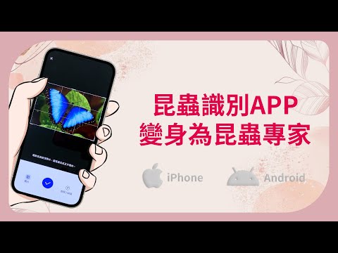 【昆蟲辨識 APP】一鍵識別10000+昆蟲種類，讓你變身為昆蟲學專家