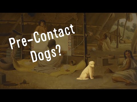 What Happened to the Pre-Contact Dogs?