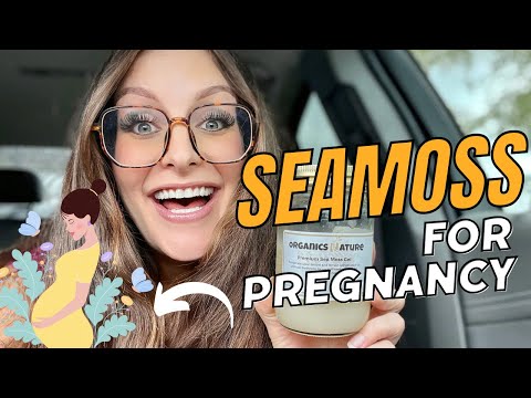 Sea Moss Instead of Prenatal Vitamins?!?🤰🏻