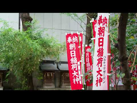 朝日神社