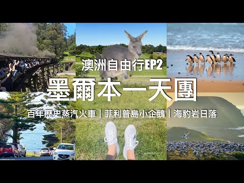 【🇦🇺澳洲墨爾本】澳洲自由行EP.2｜ 墨爾本 Local Tour 一日遊 // 百年歷史蒸汽火車 & 菲利普島 Phillip Island 小藍企鵝歸巢｜Cowes小鎮、海豹岩日落超美