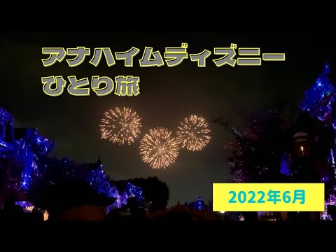 【VLOG】2022年6月アナハイムディズニーひとり旅⑦〜4日目後編　ディズニーランドフォーエバー、ライズオブザレジスタンス、スパイダーマンなど