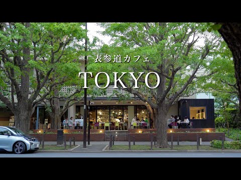 Tokyo] Omotesando Cafes｜Tokyo Sightseeing vlog