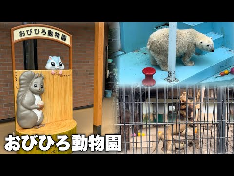 動物との距離感が近すぎる！動物好きにはたまらない『おびひろ動物園』