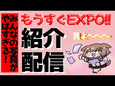 【#みんなのEXPO装備】みんなの写真を一緒に見ていくでな～！【戌神ころね/ホロライブ】