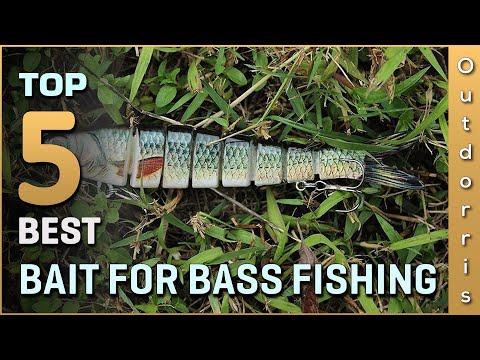 Top 5 Best Bait for Bass Fishing Review in 2023