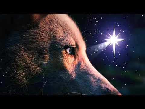 SILENT NIGHT panflute - WOLF CHRISTMAS SPIRIT