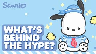 POCHACCO Explained — Ultimate Sanrio Character Guide!