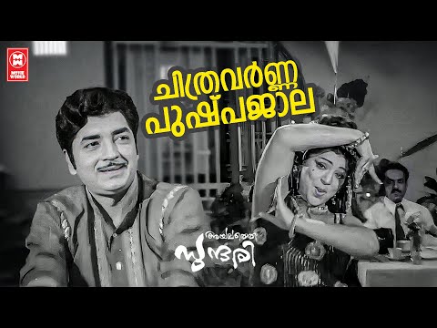 Chithravarna Pushpajalamorukki | Ayalathe Sundari (1974) | Shankar Ganesh | Vani Jairam