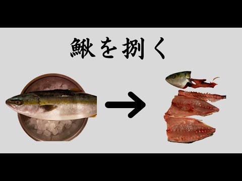 【魚さばき】イナダをさばく