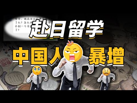 日元大跌 赴日本留学旅游的中国人暴增？