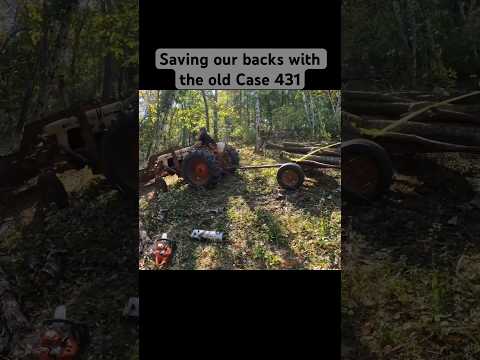 Getting firewood out of the valley with 1964 Case 431 #vintagetractor