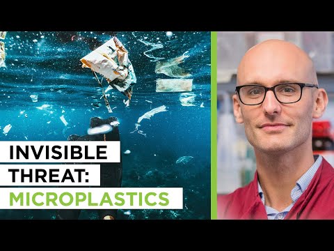 Looking At Microplastics & Inflammation’s Impact on Brain Health | Jack Auty