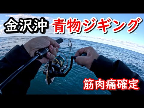 【金沢】青物ジギング！石川県の初心者にも優しい水深で小ブリ、ワラサ、メジロ、ガンドを釣る