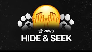 Paws New Task 🐾 hide & seek  Update | 10K Paws Claim | Paws New Task | Paws New Update | Paws Task |