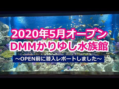 沖縄NEWスポット⭐️2020年5月Open！ＤＭＭかりゆし水族館🐟🐠🐡🦭