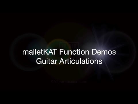 Function Demos - Guitar Articulations