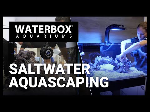 Saltwater aquascaping aquariums, lets explore some of our favorites here at Waterbox. - Episode 169