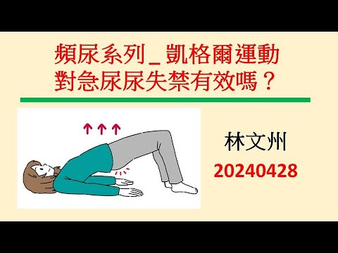 頻尿系列 凱格爾運動對急尿尿失禁有效嗎？－林文州20240428