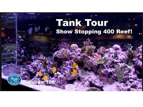 Tank Tour:  Show Stopping 400 reef!