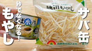 【もやしとサバ缶レシピ】焼いて炒めるだけ！美味しさに感動。