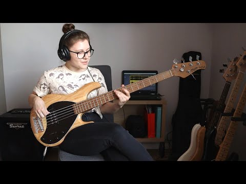 Beyoncé - End of Time (Bass Cover)