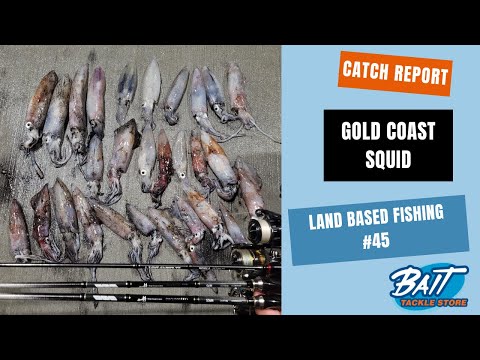 Land Based Fishing #45 - Gold Coast Squid