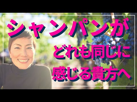 シャンパンがどれも同じに感じてツイお値段で選びがちな貴方へこの動画を送ります