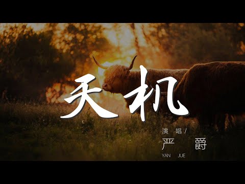 天機 - 嚴爵『天機已經天註定 愛上你的我』【動態歌詞Lyrics】