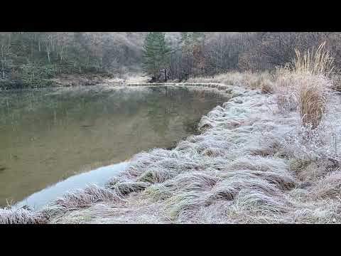 20231121、三瓶山の室の内池横から360ﾟビュー