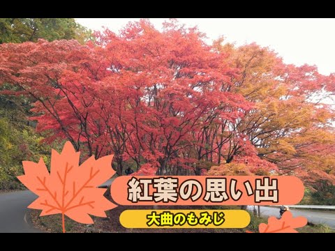 紅葉の思い出  🍁🍁🍁　Memories of autumn leaves #紅葉  #那須塩原  #源泉かけ流し