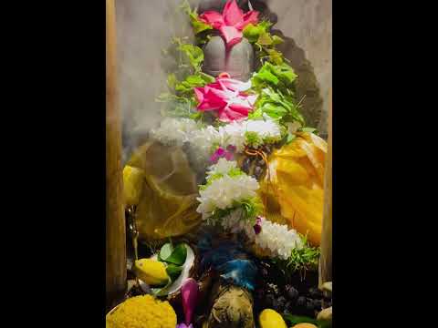 Lord Shiva Morning Puja & SDLMD , Sri Lanka #god #hindugod #lordshiva #harharmahadev #lordshankar