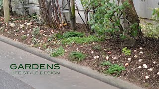 【GARDENS】12月の庭のお手入れ | 土壌改良と球根の植え付け | winter gardening lesson | 【ガーデンズ】