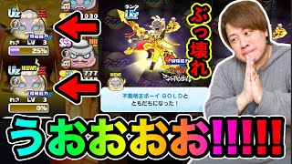 ぷにぷに「Uz不道明王ボーイGOLD出るまで永遠に超ニャンボガシャ!!!!」【妖怪ウォッチぷにぷに】ぷに神の間 Yo-kai Watch part1638とーまゲーム